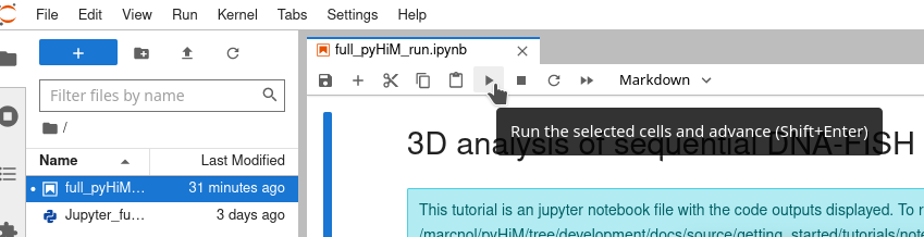 run_notebook_screenshot
